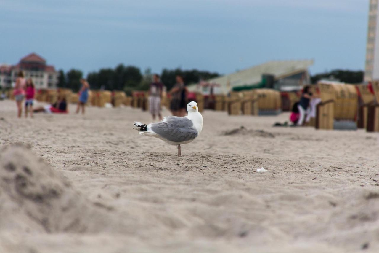 Ferienwohnungen-Neue-Tiefe-Wohnung-Kleiderbuegel Neue Tiefe Fehmarn Buitenkant foto
